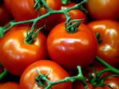 New Mozzarella Bar To Open In London - A new Italian restaurant is to open in the City of London. New Mozzarella Bar To Open In London - A new Italian restaurant is to open in the City of London.