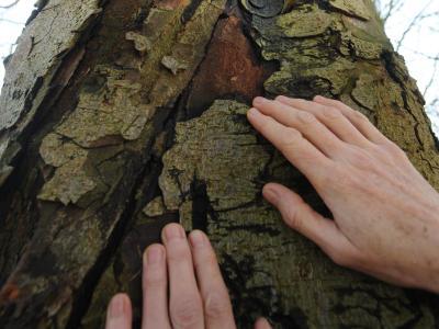 Rome Museum Holds Arte Povera Exhibition - An art exhibition celebrating an historic movement is being held at a Rome museum. Rome Museum Holds Arte Povera Exhibition - An art exhibition celebrating an historic movement is being held at a Rome museum.