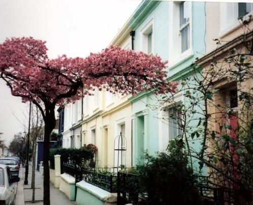 A Quirky and Quaint Area In London